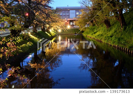 The moat of Hirosaki Castle and cherry blossoms illuminated at night The moat of Hirosaki Castle and cherry blossoms illuminated at night 139173613
