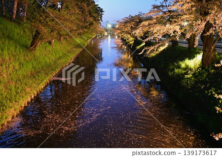 The moat of Hirosaki Castle and cherry blossoms illuminated at night The moat of Hirosaki Castle and cherry blossoms illuminated at night 139173617
