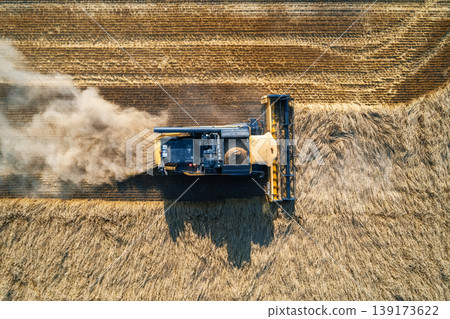 Aerial top down view of combine harvester cutting wheat during the harvest season in a rural farmland field Aerial top down view of combine harvester cutting wheat during the harvest season in a rural farmland field 139173622