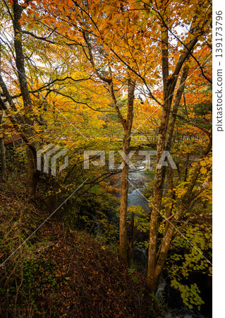 Autumn foliage in Oku-Nikko: Around Ryuzu Falls Autumn foliage in Oku-Nikko: Around Ryuzu Falls 139173796