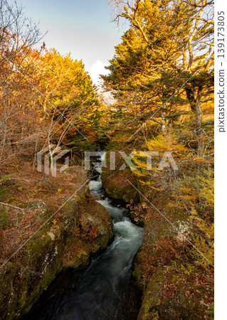 Autumn foliage in Oku-Nikko: Around Ryuzu Falls Autumn foliage in Oku-Nikko: Around Ryuzu Falls 139173805