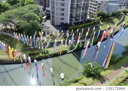 從山頂俯瞰河中游弋的鯉魚旗-埼玉縣河口市芝川公園 從山頂俯瞰河中游弋的鯉魚旗-埼玉縣河口市芝川公園 139173964