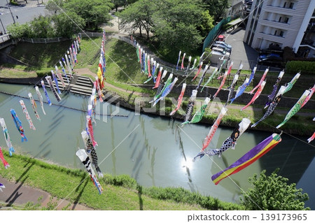 從河面俯瞰,可以看到鯉魚飄浮在河面上-芝川,埼玉縣川口市 從河面俯瞰,可以看到鯉魚飄浮在河面上-芝川,埼玉縣川口市 139173965