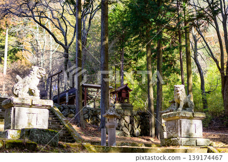 A quiet forest path leading to a shrine, bathed in dappled sunlight, and a pair of guardian lion-dogs. A quiet forest path leading to a shrine, bathed in dappled sunlight, and a pair of guardian lion-dogs. 139174467