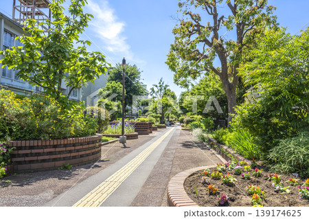 Urban landscape of Setagaya Ward, Tokyo: Kitazawa River Greenway and Umegaoka 139174625