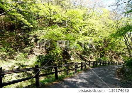 Scenery around the road to Yoro Falls, Yoro-cho, Yoro-gun, Gifu Prefecture (14) - April 2025 Scenery around the road to Yoro Falls, Yoro-cho, Yoro-gun, Gifu Prefecture (14) - April 2025 139174680