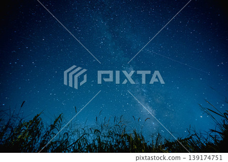 A landscape of grassland silhouettes and starry skies A landscape of grassland silhouettes and starry skies 139174751