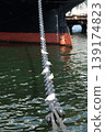 Seabirds resting on the chains of moored ships in the harbor 139174823