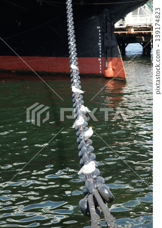 Seabirds resting on the chains of moored ships in the harbor Seabirds resting on the chains of moored ships in the harbor 139174823