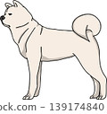 秋田犬（狗）插圖，彩色，透明背景。 139174840