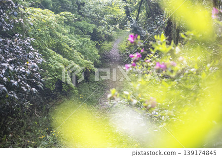 初夏時節，宇吹木公園綠意盎然 139174845