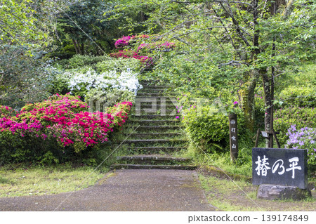 Fresh greenery and early summer at Utsubuki Park Fresh greenery and early summer at Utsubuki Park 139174849