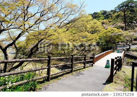 岐阜縣養老郡養老町養老公園 16 號，2025 年 4 月 139175259