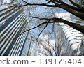 Skyscrapers and street trees viewed from below 139175404