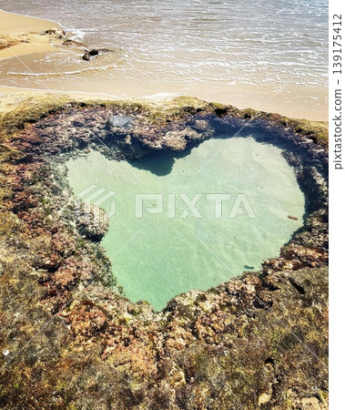 奄美大島心岩 奄美大島心岩 139175412