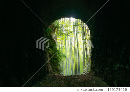 這是位於三重縣尾瀨市土井竹林中,洞穴外的竹林照片。 這是位於三重縣尾瀨市土井竹林中,洞穴外的竹林照片。 139175436