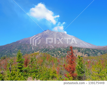Minamidake peak as seen from the Sakurajima Arimura Lava Observatory (Kagoshima City, Kagoshima Prefecture) Minamidake peak as seen from the Sakurajima Arimura Lava Observatory (Kagoshima City, Kagoshima Prefecture) 139175449