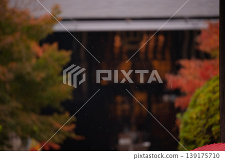 The image of a tranquil Japanese garden and temple adorned with autumn foliage. The image of a tranquil Japanese garden and temple adorned with autumn foliage. 139175710