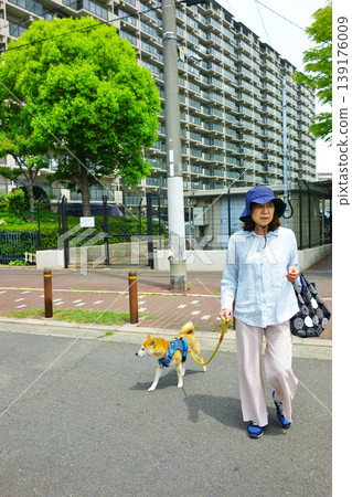 Pet Life: Taking a walk with a Shiba Inu Pet Life: Taking a walk with a Shiba Inu 139176009