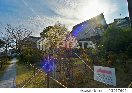 尾道市千光寺公園和貓巷週邊的景色 尾道市千光寺公園和貓巷週邊的景色 139176064