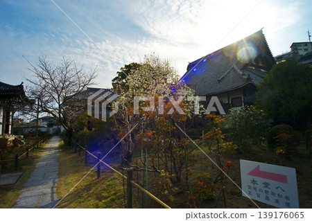 尾道市千光寺公園和貓巷週邊的景色 尾道市千光寺公園和貓巷週邊的景色 139176065