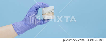 Orthodontics banner template: Dentist hand holding a plaster jaw model with large copy space. 139176486