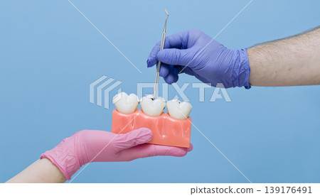 Dentist demonstrating caries on an anatomical tooth model using a dental probe. Oral care and prevention concept. Dentist demonstrating caries on an anatomical tooth model using a dental probe. Oral care and prevention concept. 139176491
