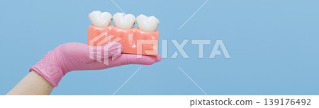 Dentist hand in pink glove holding an anatomical tooth model with caries. Dental care banner with large copy space on blue background. Dentist hand in pink glove holding an anatomical tooth model with caries. Dental care banner with large copy space on blue background. 139176492