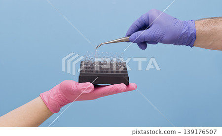 Dentist extracting transparent celluloid crown matrix with tweezers for aesthetic tooth restoration. Cosmetic dentistry concept. 139176507