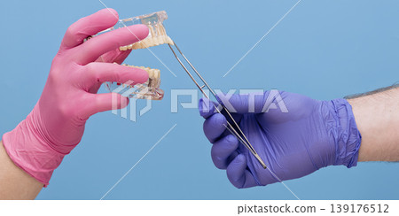 Dental prosthetics and extraction mockup. Hands in medical gloves holding clear teeth dummy and forceps. Banner format. 139176512