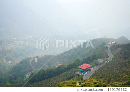 Scenic winding mountain road passing through lush tea gardens in misty Himalayan hills at Kurseong Scenic winding mountain road passing through lush tea gardens in misty Himalayan hills at Kurseong 139176582