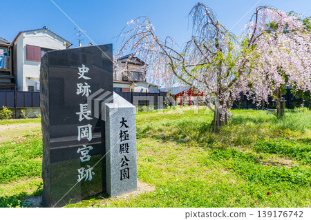 Stone monument and weeping cherry tree at the entrance to Daigokuden Park, Nagaoka Palace Site, Mukō City, Kyoto Prefecture Stone monument and weeping cherry tree at the entrance to Daigokuden Park, Nagaoka Palace Site, Mukō City, Kyoto Prefecture 139176742