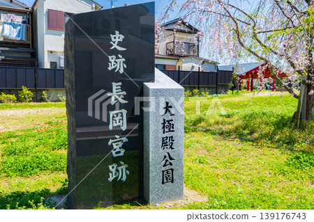 Stone monument and weeping cherry tree at the entrance to Daigokuden Park, Nagaoka Palace Site, Mukō City, Kyoto Prefecture Stone monument and weeping cherry tree at the entrance to Daigokuden Park, Nagaoka Palace Site, Mukō City, Kyoto Prefecture 139176743