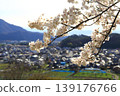 須坂市的街景與櫻花 須坂市的街景與櫻花 139176766