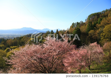 長野縣須坂市坂山春景 長野縣須坂市坂山春景 139176768