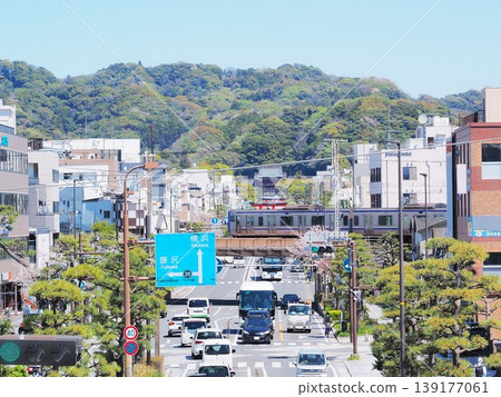 Kanagawa Prefecture: Yokosuka Line and Tsurugaoka Hachimangu Shrine, April Kanagawa Prefecture: Yokosuka Line and Tsurugaoka Hachimangu Shrine, April 139177061