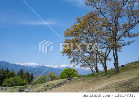 The snow-capped Northern Alps viewed from a park surrounded by fresh greenery, Azumino City, Nagano Prefecture. 139177313