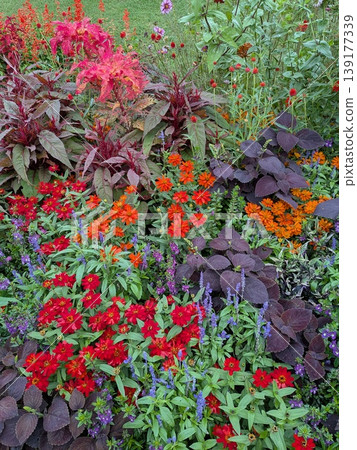 Spring flowers 139177339