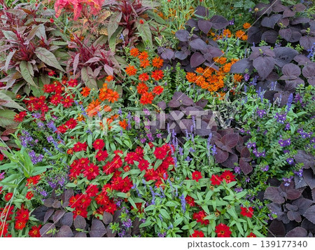 Spring Flowers 2 Spring Flowers 2 139177340
