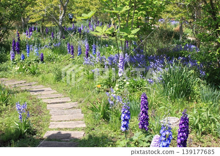 Keio Floral Garden Path Keio Floral Garden Path 139177685