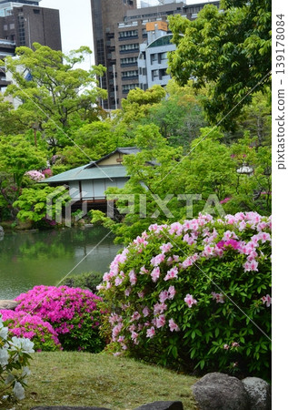 日式花園和杜鵑花 日式花園和杜鵑花 139178084