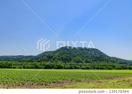 A vast farm in Teshikaga, eastern Hokkaido. 139178364