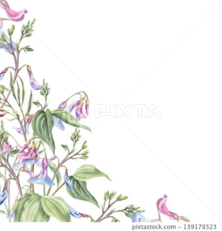 A corner frame of wild lilac-blue forest flowers called mouse peas. Watercolor illustration for design for cards, textiles, weddings, nature websites, and eco-themed designs. A corner frame of wild lilac-blue forest flowers called mouse peas. Watercolor illustration for design for cards, textiles, weddings, nature websites, and eco-themed designs. 139178523