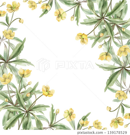 A square frame of wild yellow forest flowers. This hand-drawn watercolor illustration is perfect for cards, textiles, weddings, nature websites, and eco-themed designs. 139178529