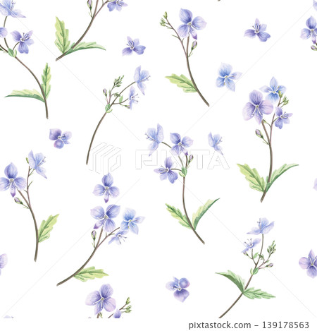 A seamless pattern with wild forget-me-not flowers and carved leaves. This hand-drawn watercolor illustration is perfect for card designs, textiles, weddings, nature websites, and eco-themed designs. A seamless pattern with wild forget-me-not flowers and carved leaves. This hand-drawn watercolor illustration is perfect for card designs, textiles, weddings, nature websites, and eco-themed designs. 139178563