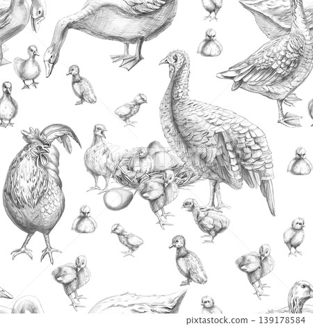 A seamless poultry yard pattern featuring turkeys, ducks, a rooster, and chickens. This pencil illustration is suitable for livestock, farming, agriculture, poultry, menus, restaurants, and labels. A seamless poultry yard pattern featuring turkeys, ducks, a rooster, and chickens. This pencil illustration is suitable for livestock, farming, agriculture, poultry, menus, restaurants, and labels. 139178584