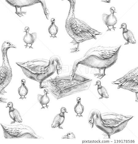 A seamless pattern with geese and goslings drawn in pencil. This isolated illustration is suitable for designs in the fields of livestock farming, agriculture, poultry, menus, restaurants, and labels. A seamless pattern with geese and goslings drawn in pencil. This isolated illustration is suitable for designs in the fields of livestock farming, agriculture, poultry, menus, restaurants, and labels. 139178586