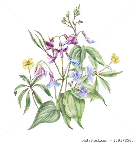 A bouquet of yellow, lilac, and blue spring forest flowers. This isolated watercolor illustration is suitable for designs in the fields of botany, gardening, nature, cosmetics, and interior design. A bouquet of yellow, lilac, and blue spring forest flowers. This isolated watercolor illustration is suitable for designs in the fields of botany, gardening, nature, cosmetics, and interior design. 139178593
