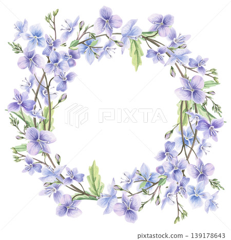 A wreath of delicate bouquets of wild forest forget-me-not flowers and leaves. This isolated watercolor illustration is perfect for postcards, textiles, nature websites, and eco-themed designs. A wreath of delicate bouquets of wild forest forget-me-not flowers and leaves. This isolated watercolor illustration is perfect for postcards, textiles, nature websites, and eco-themed designs. 139178643