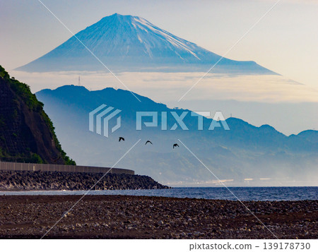 三隻鳥飛越富士山和海岸線 三隻鳥飛越富士山和海岸線 139178730